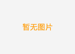 SCD斷鏈保護器（失速開關）